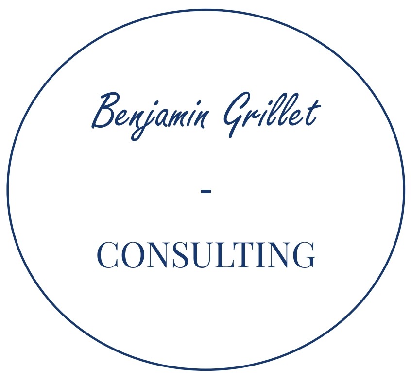 bg-regulationconsulting.com